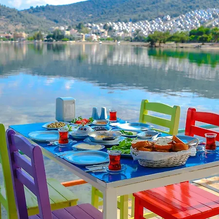 Hayal Kıyıkıslacık