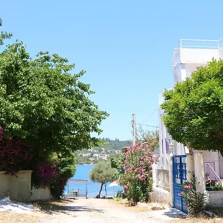 Hayal * Kıyıkıslacık